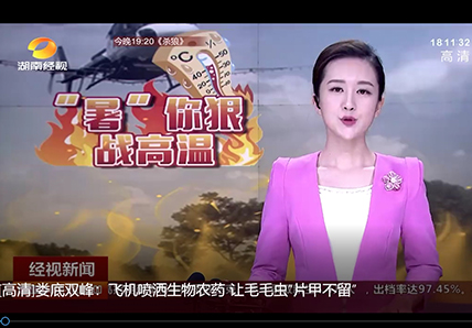 婁底：飛機(jī)噴灑生物農(nóng)藥 讓毛毛蟲“片甲不留“