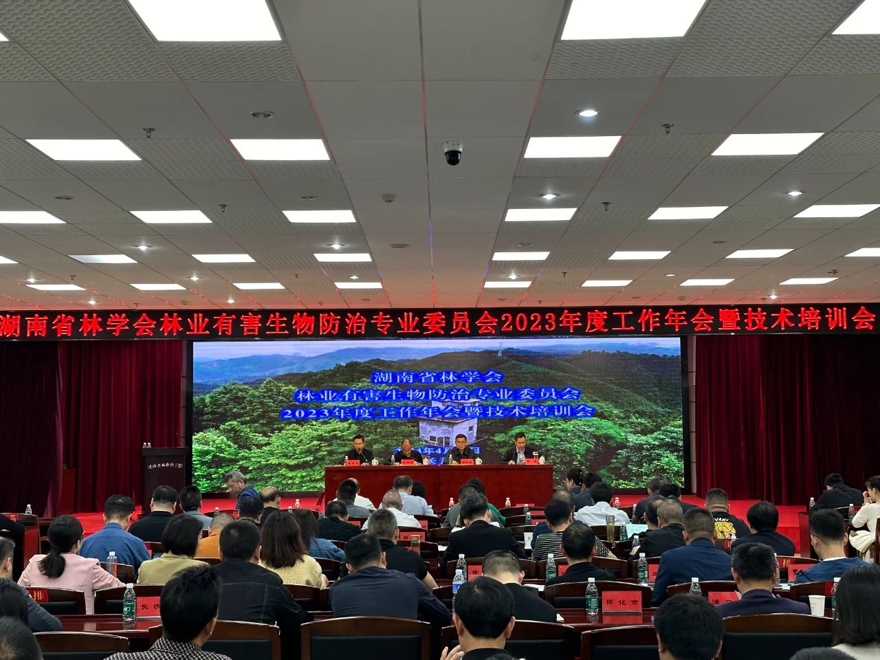 再添榮譽(yù)——林科達(dá)榮獲“湖南省森林植物醫(yī)院”稱號